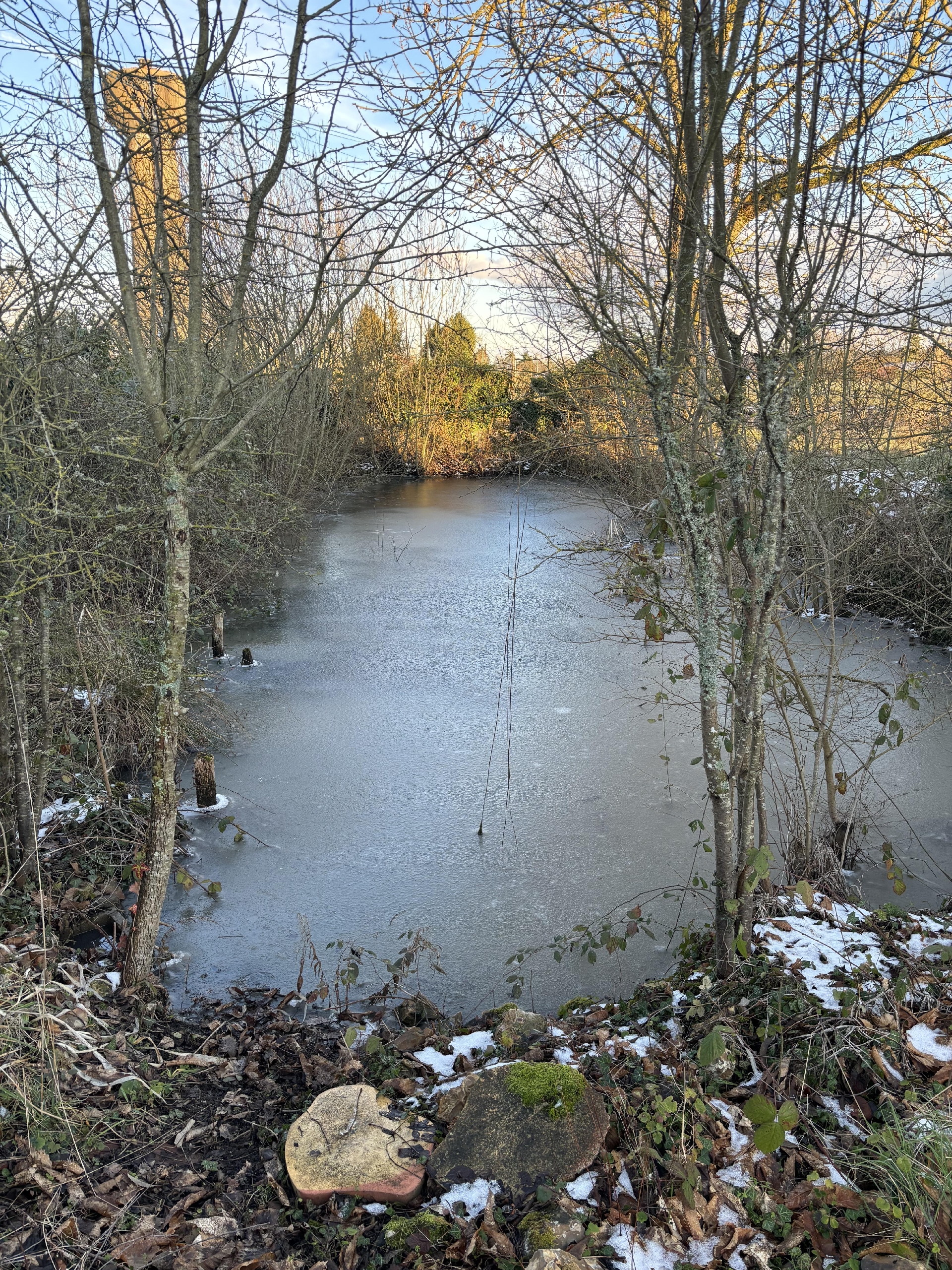 MAISONSENONCHES