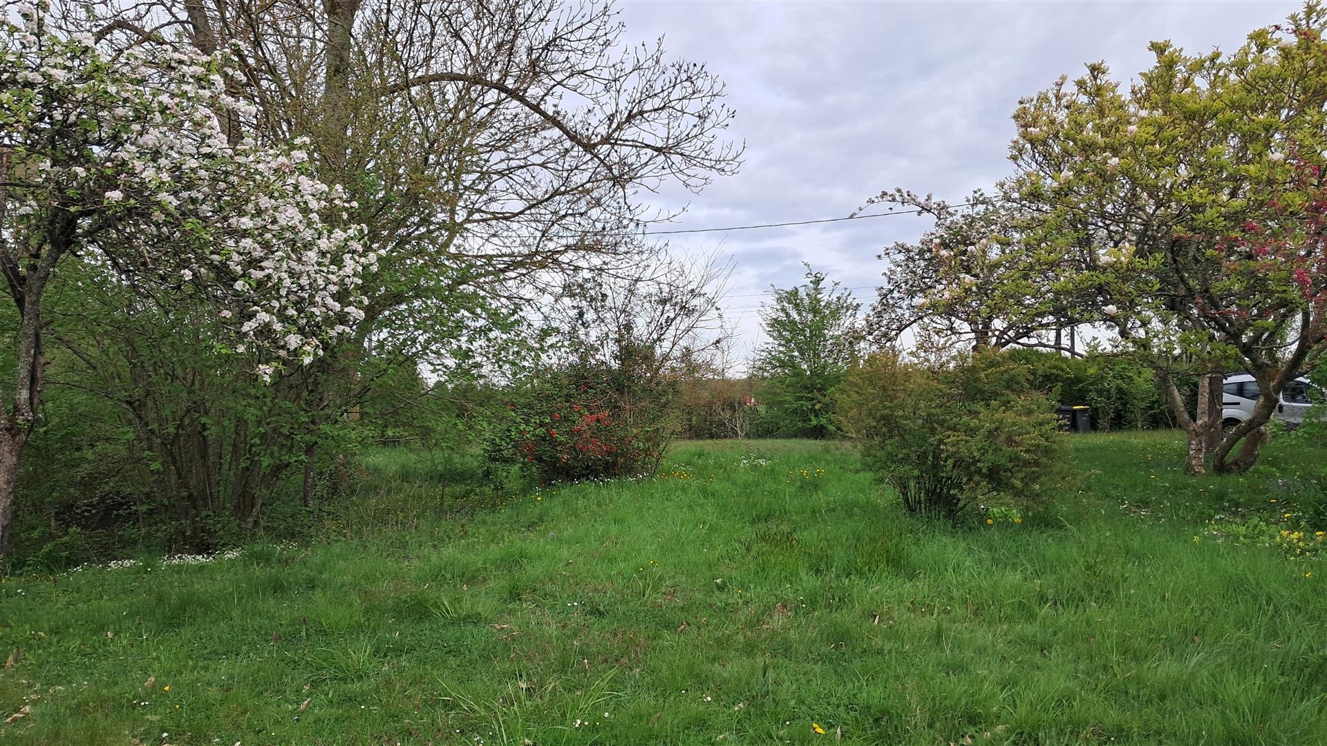 MAISONSENONCHES