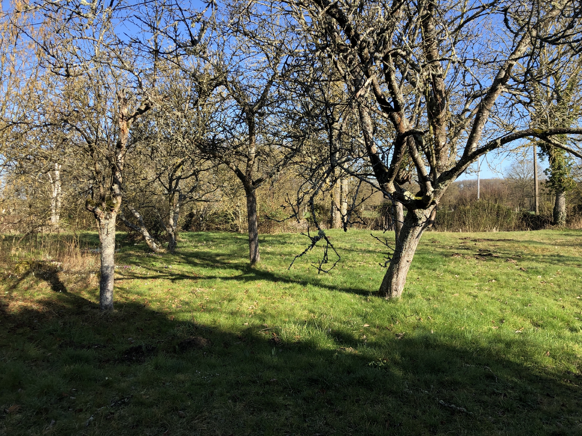 MAISONSENONCHES