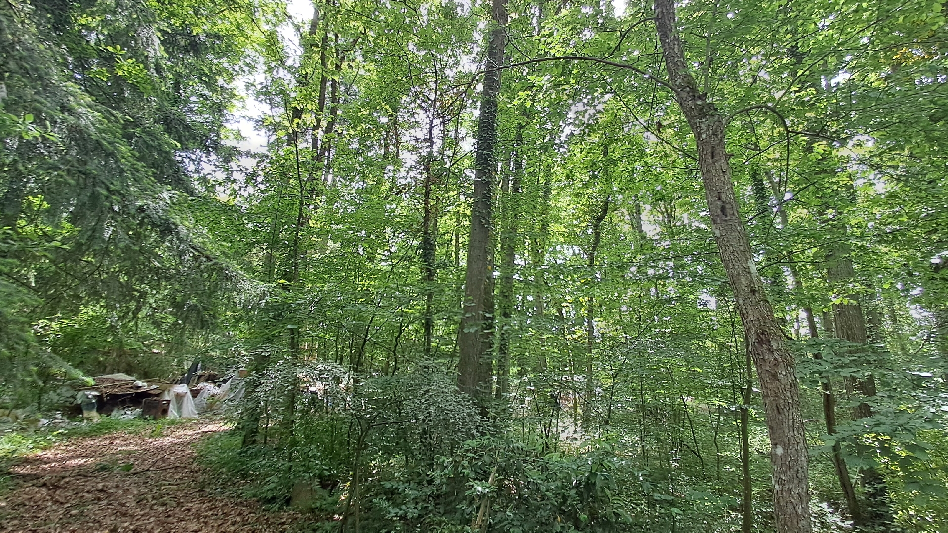 TERRAIN DE LOISIRSLA FERTÉ VIDAME