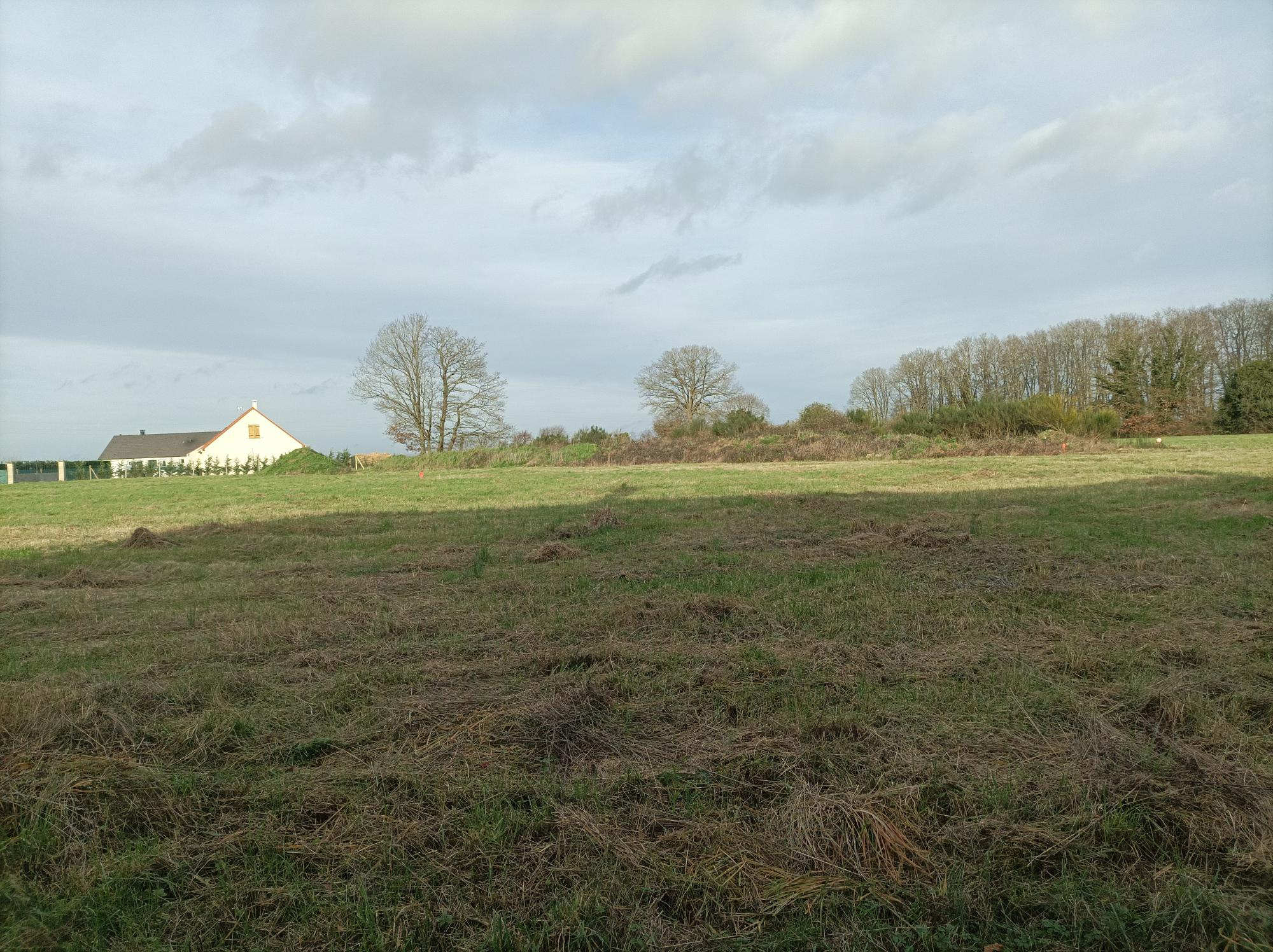 TERRAIN A BÂTIR d'une superficie de 1 175 m2 environ. Plat - Borné - Non viabilisé & non clôturé.DROISY