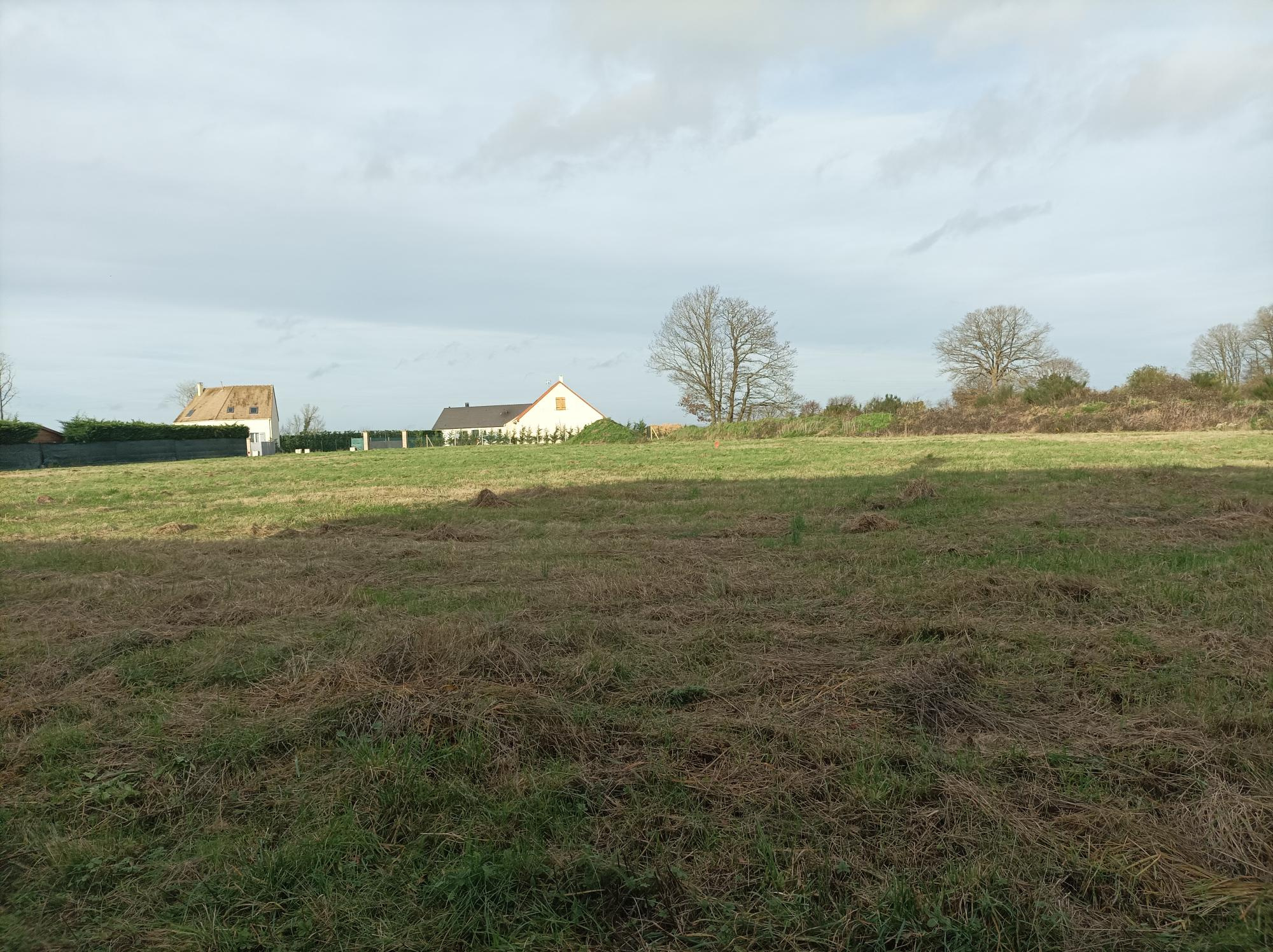 TERRAIN A BÂTIR d'une superficie de 1 175 m2 environ. Plat - Borné - Non viabilisé & non clôturé.DROISY