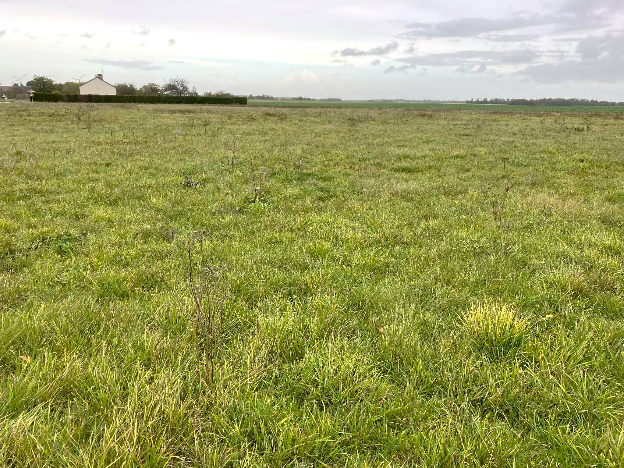Rare ! Grand terrain à bâtir plat et borné   5 337 m2, possibilité d’extensionMESNILS SUR ITON