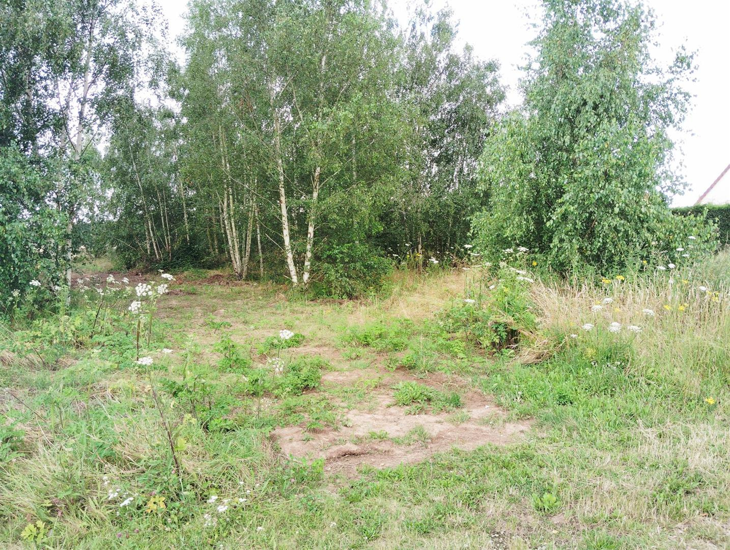 À NE PAS MANQUER !COURDEMANCHE