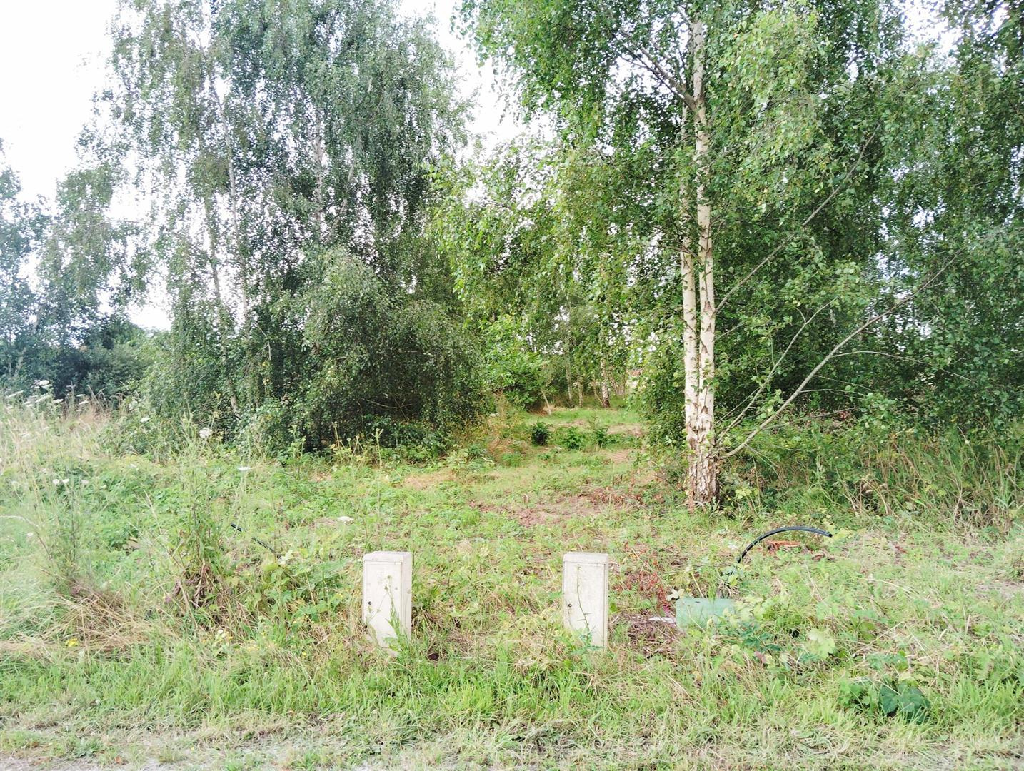 À NE PAS MANQUER !COURDEMANCHE