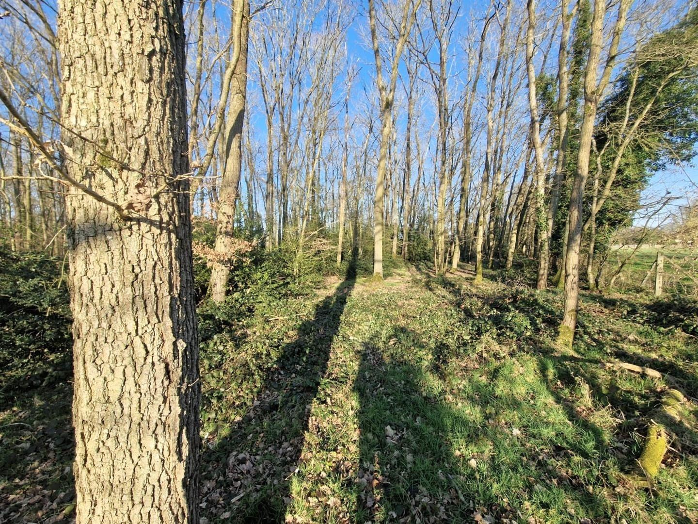 Venez découvrir cette RAVISSANTE LONGERE ENTIEREMENT RÉNOVÉE AVEC GOÛT décomposée de la manière suivante : AuNONANCOURT