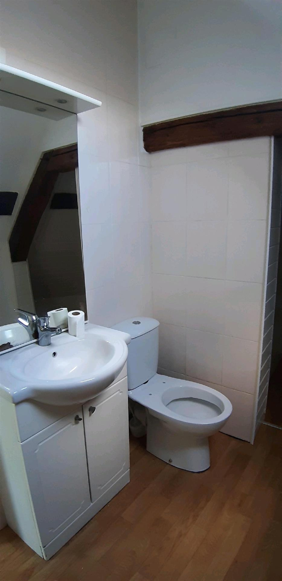 ENSEMBLE IMMOBILIER IDÉALEMENT SITUÉ & PROCHE DES COMMODITÉS renfermant : - APPARTEMENT de type T2 situé au RDBREZOLLES