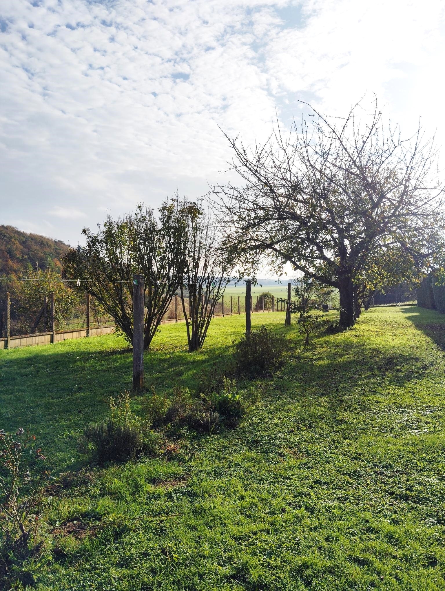MAISONSAINT- REMY-SUR-AVRE