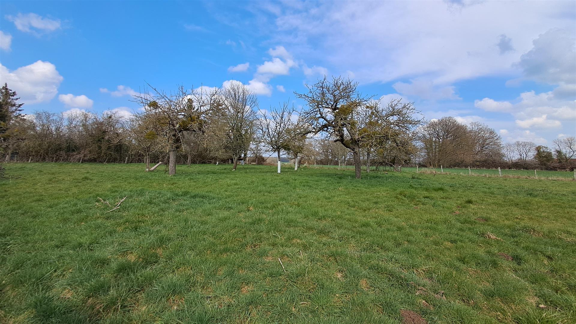 TERRAIN à BATIR de 2 130 m2 arboré CU POSITIF, non viabilisé sauf eau. ENVIRONNEMENT CALMEBREZOLLES