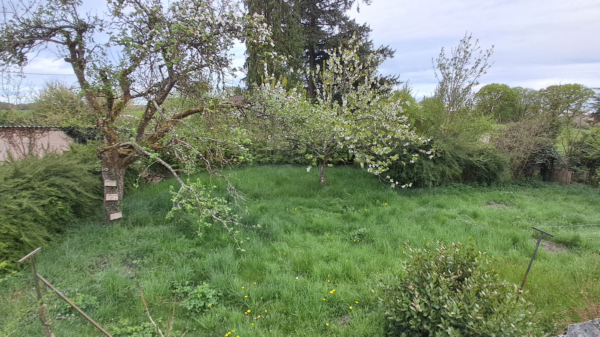 POUR LES AMOUREUX DE RESTAURATION PROCHE SENONCHESSENONCHES