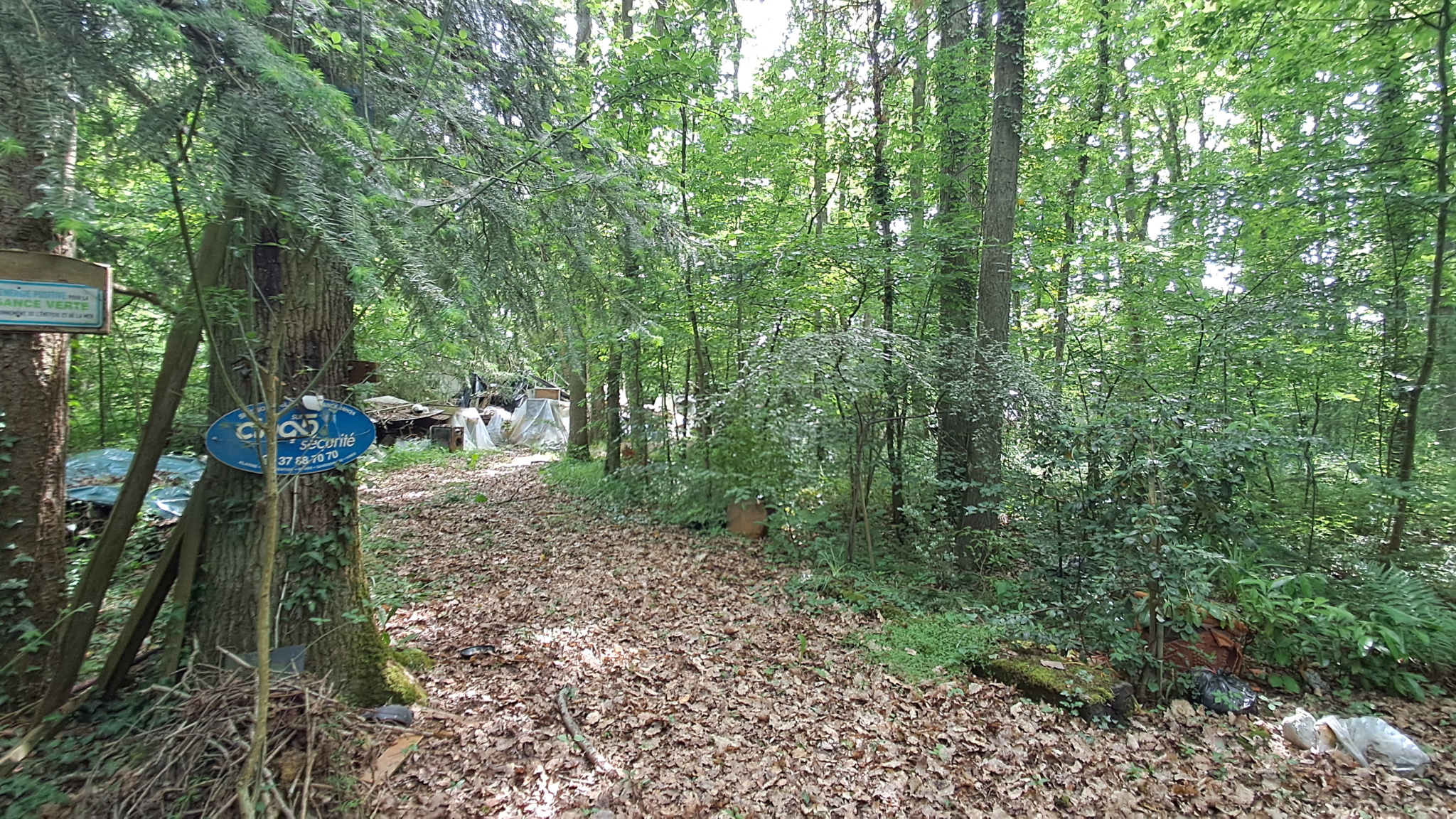 TERRAIN DE LOISIRS EN PARCELLE DE BOIS NON CONSTRUCTIBLE d'une superficie de 6 925 m2.LA Ferté VIDAME