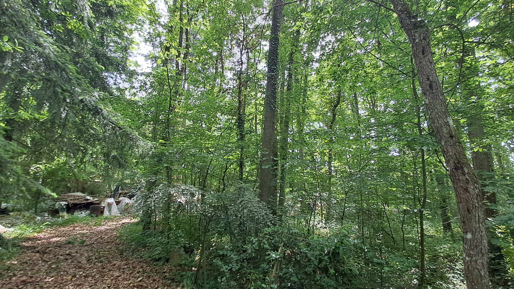 TERRAIN DE LOISIRS EN PARCELLE DE BOIS NON CONSTRUCTIBLE d'une superficie de 6 925 m2.LA Ferté VIDAME