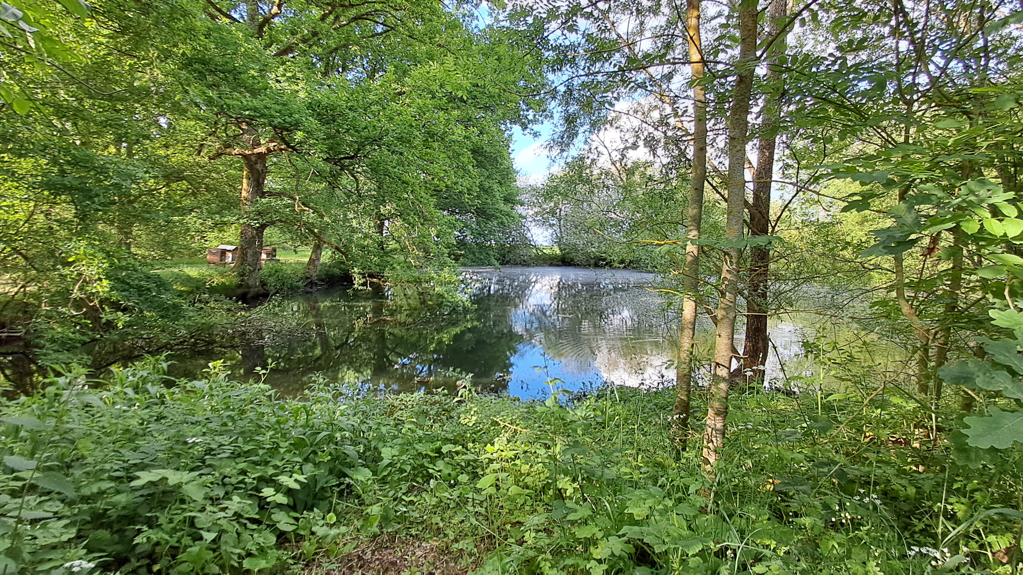 Terrain de loisirs de 20 307 m2 avec plan d'eau. Pour amateurs de nature.SENONCHES