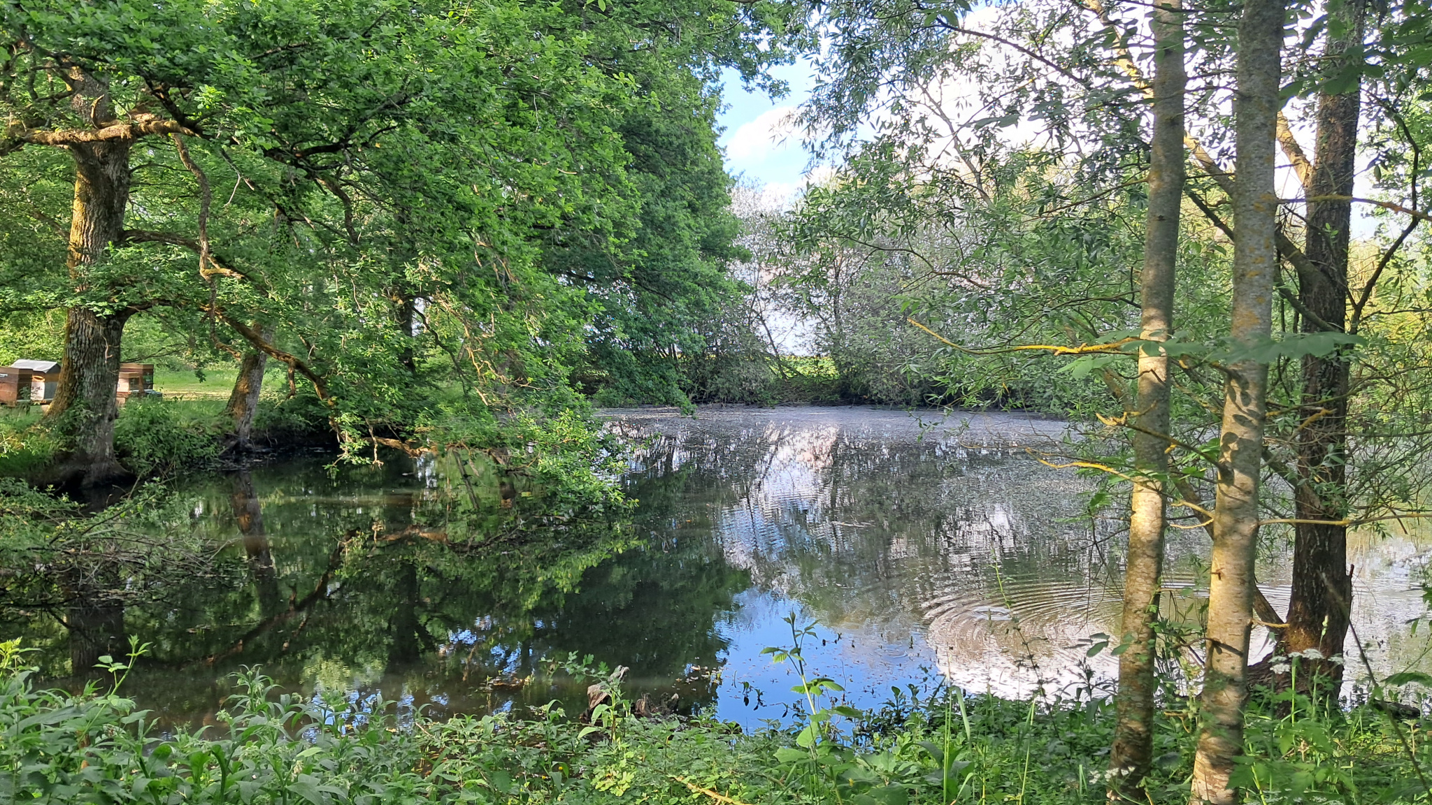 Terrain de loisirs de 20 307 m2 avec plan d'eau. Pour amateurs de nature.SENONCHES