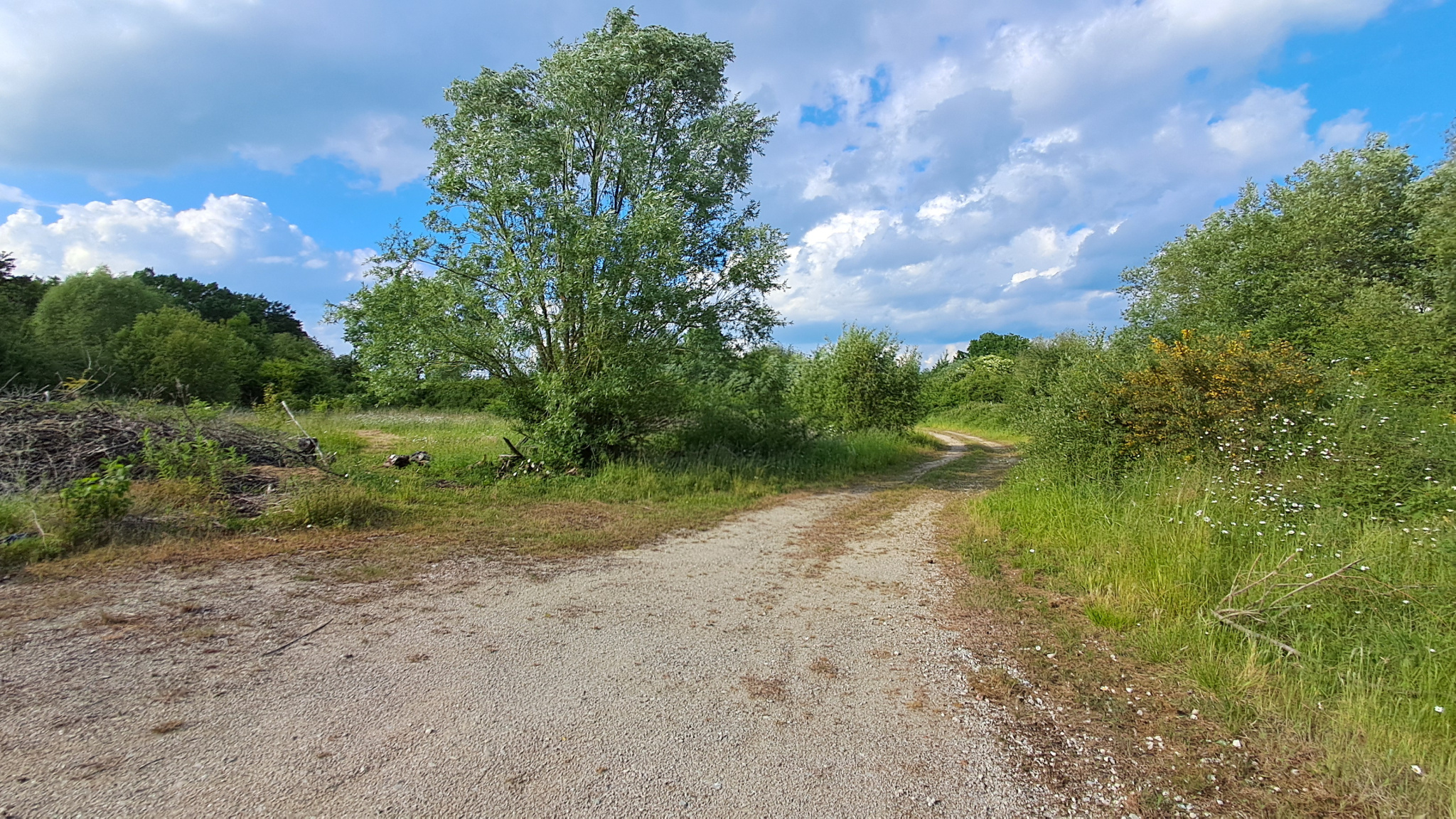 Terrain de loisirs de 20 307 m2 avec plan d'eau. Pour amateurs de nature.SENONCHES