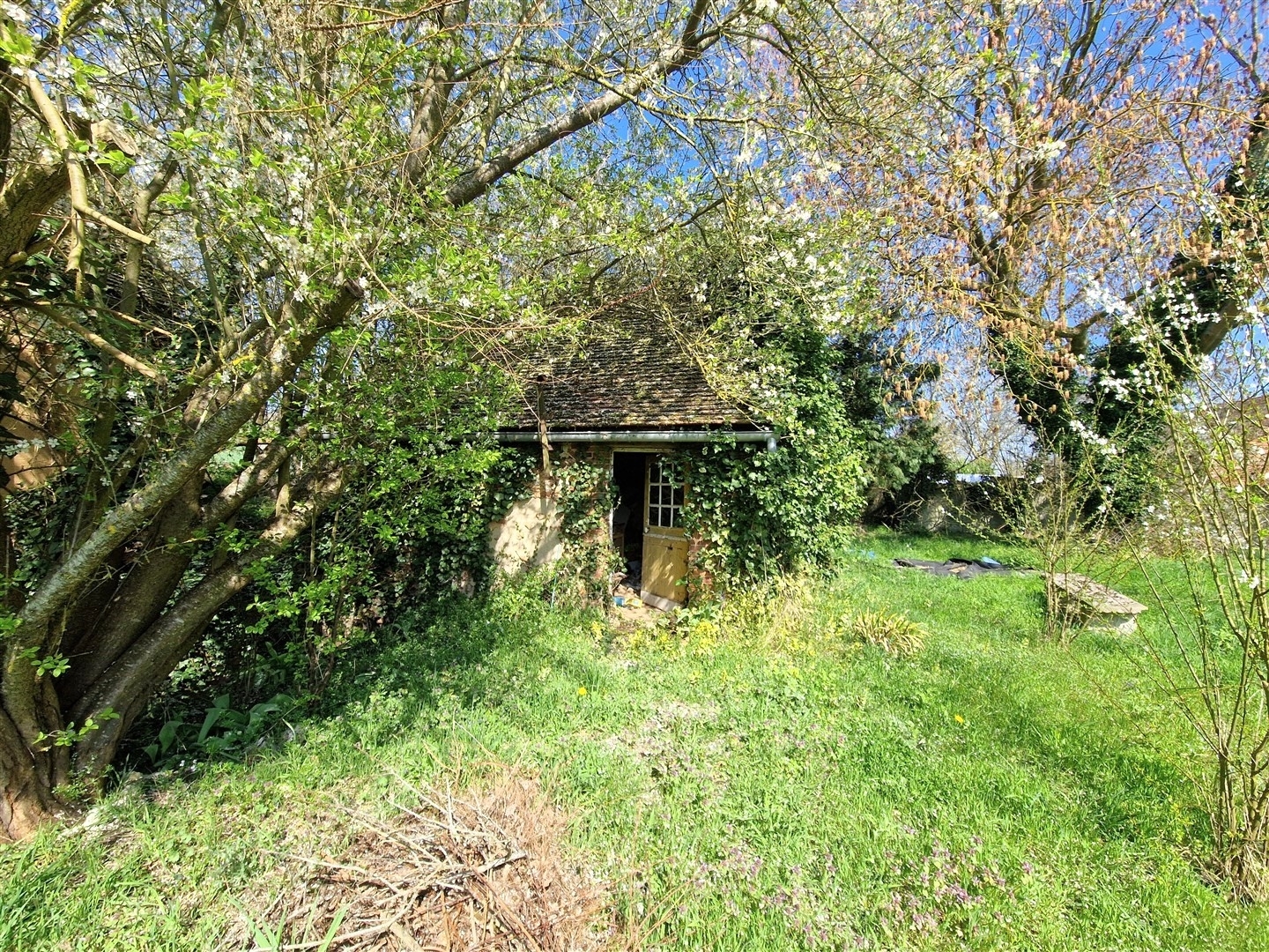 MAISONTREON