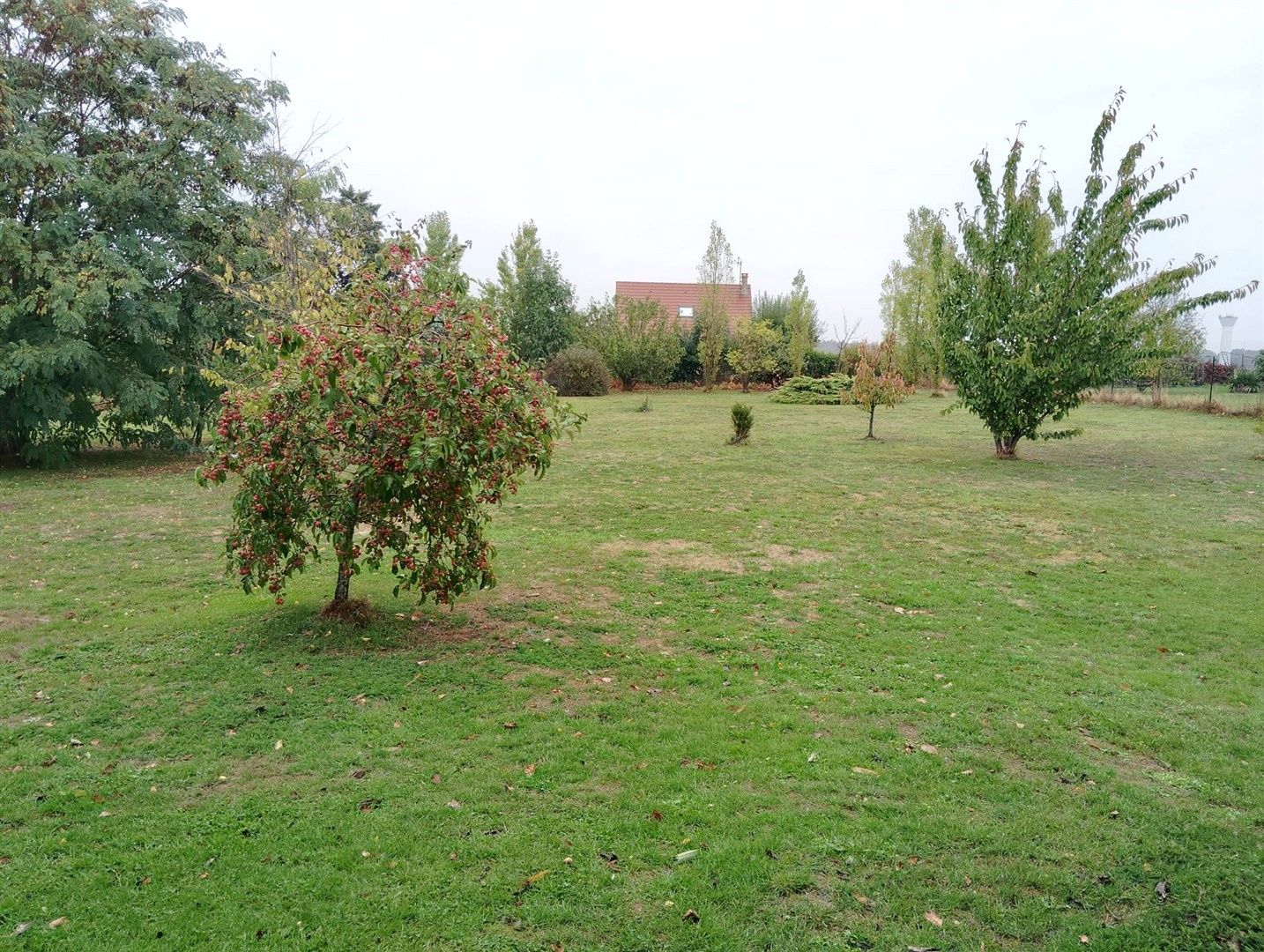 Maison familiale avec piscine et vaste terrain arboré !
