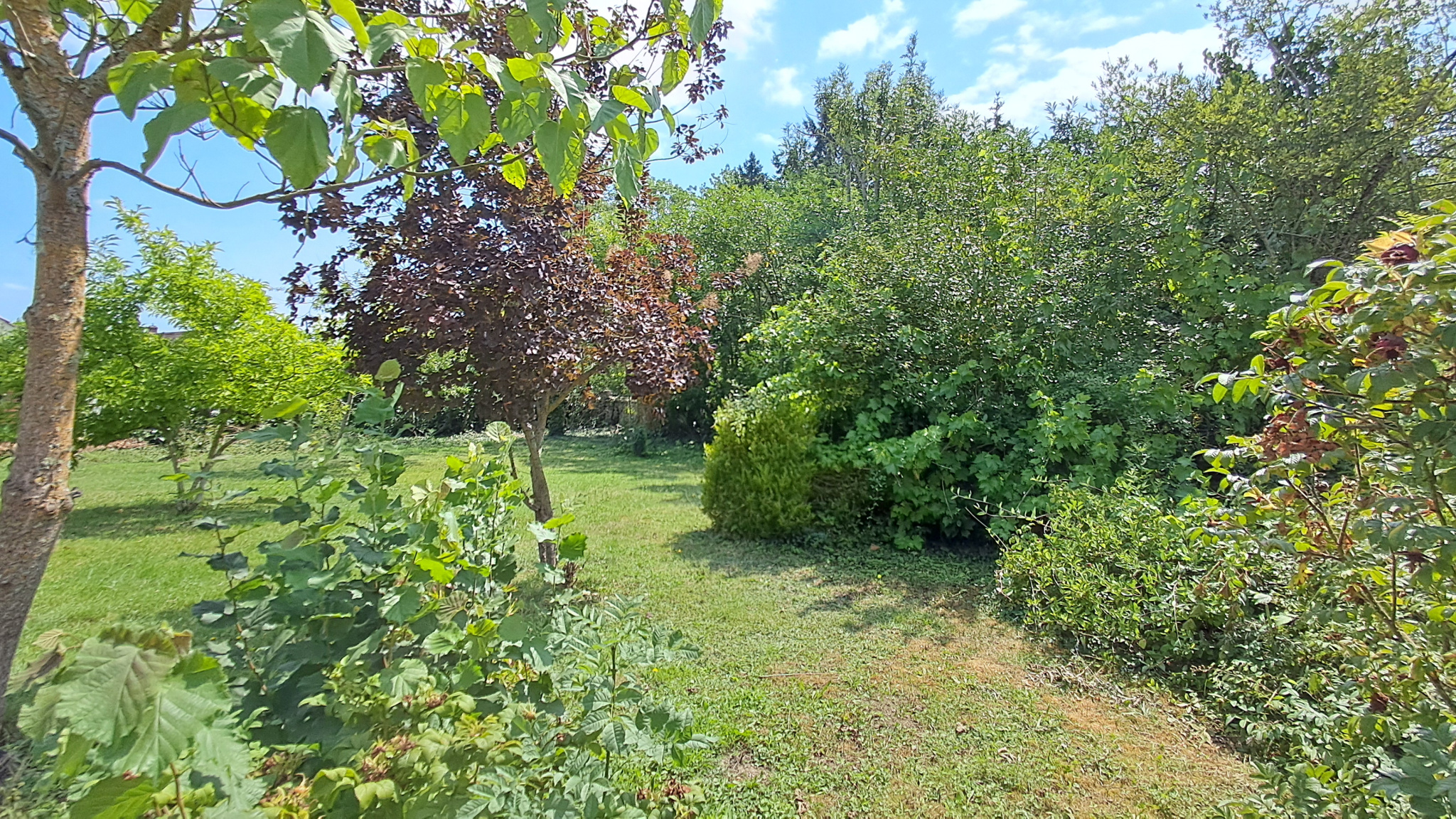 CHARME DE L'ANCIEN !MAILLEBOIS