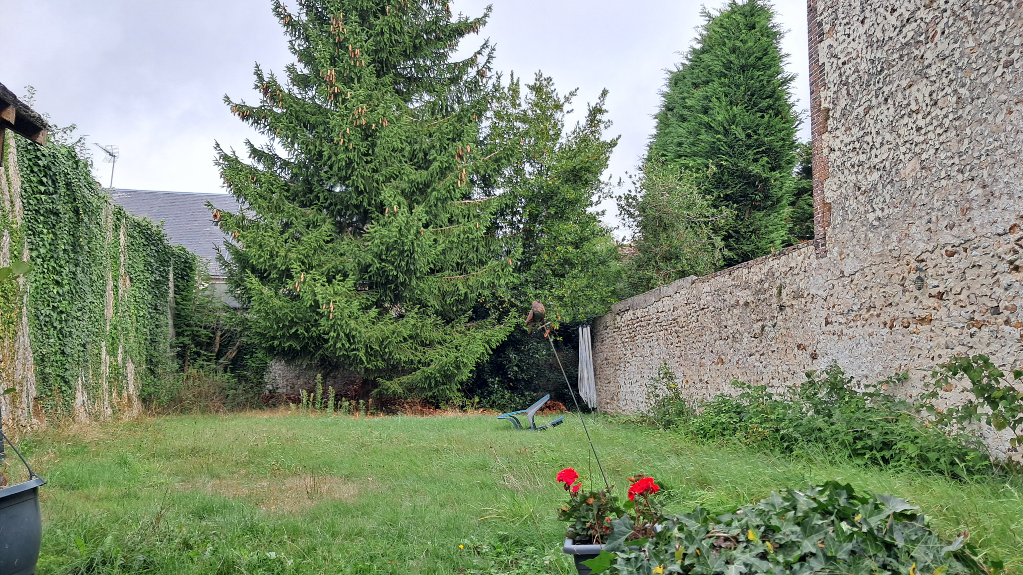 DANS VILLAGE DU PERCHE !!LA Ferté VIDAME