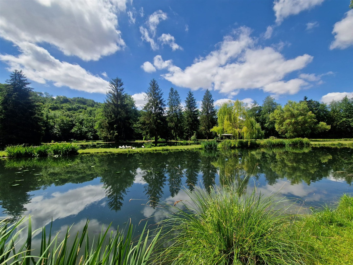 UN VERITABLE HAVRE DE PAIX...Proche NONANCOURT