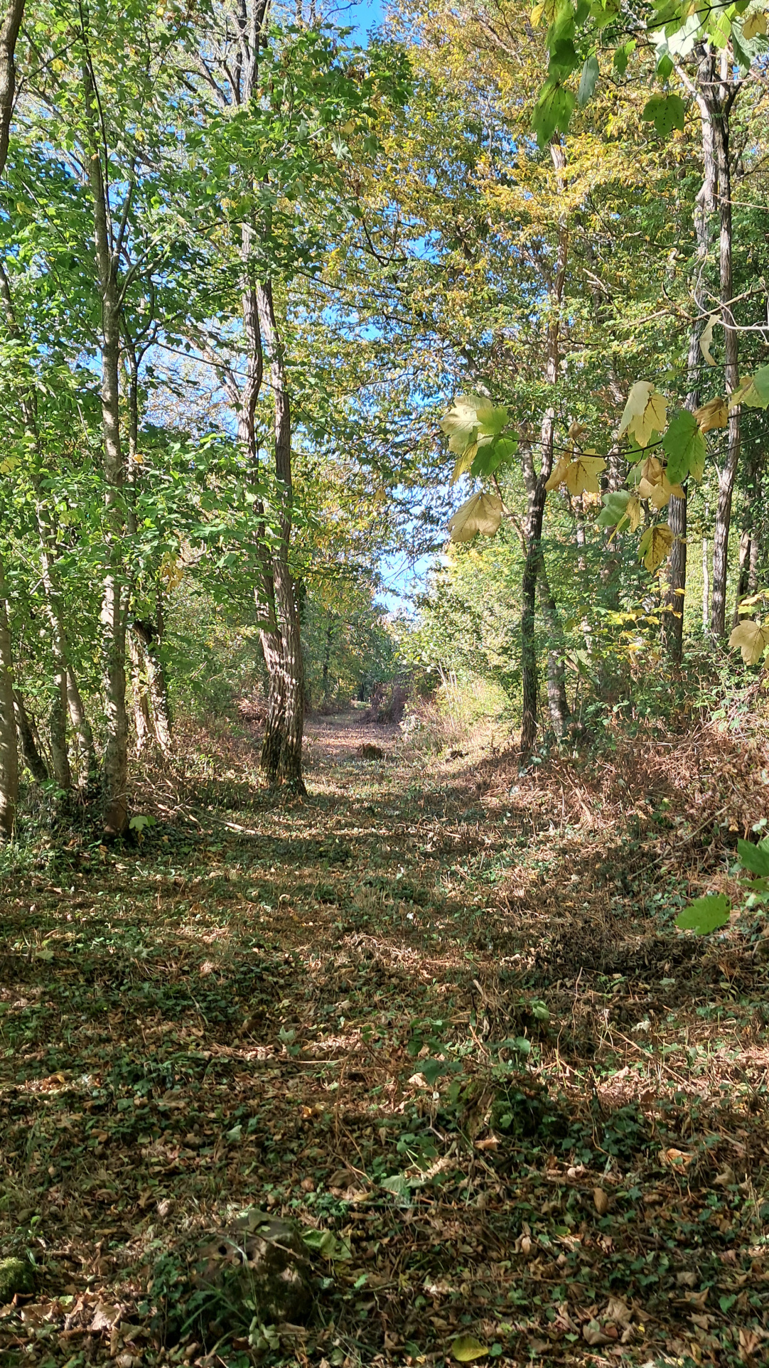 MAISON DE CAMPAGNE AU CALMESENONCHES
