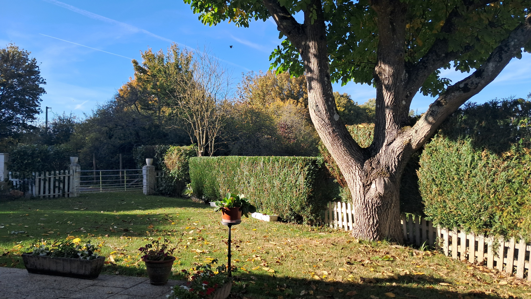 MAISON DE CAMPAGNE AU CALMESENONCHES