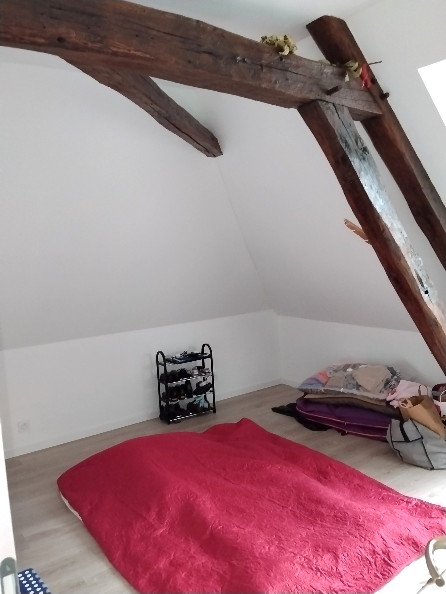 UNE VISITE POUR UN COUP DE COEUR !NONANCOURT