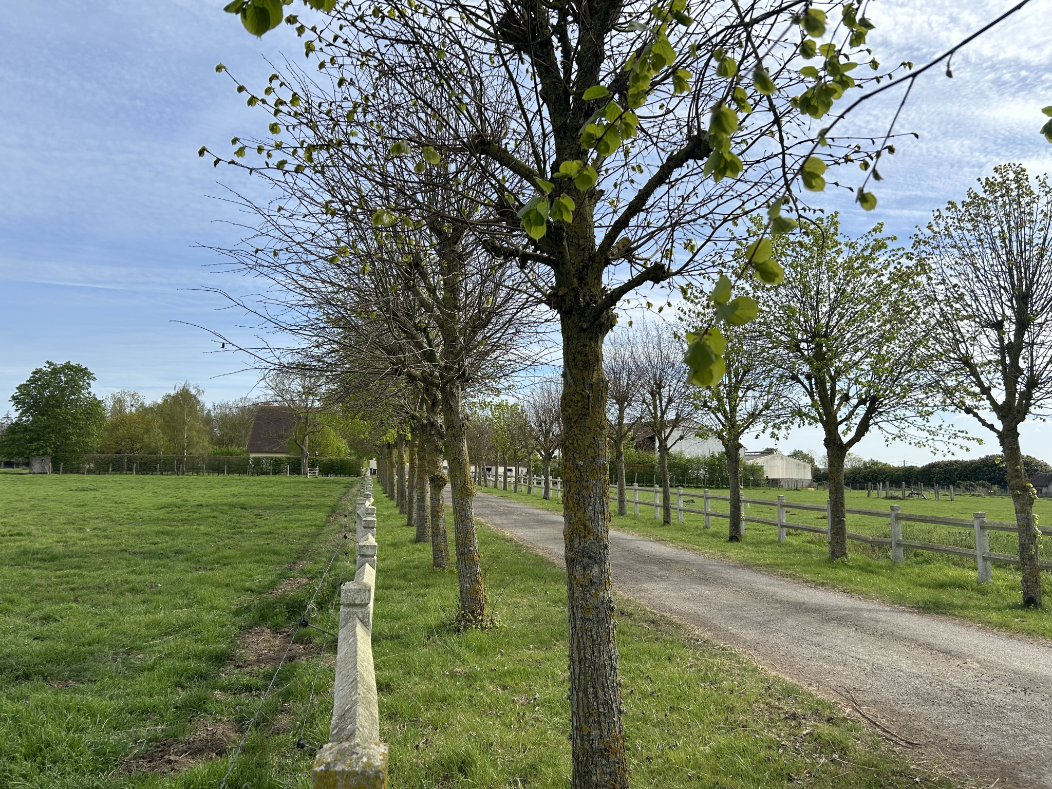 Ancien corps de ferme avec nombreuses dépendances et grand terrainBREZOLLES