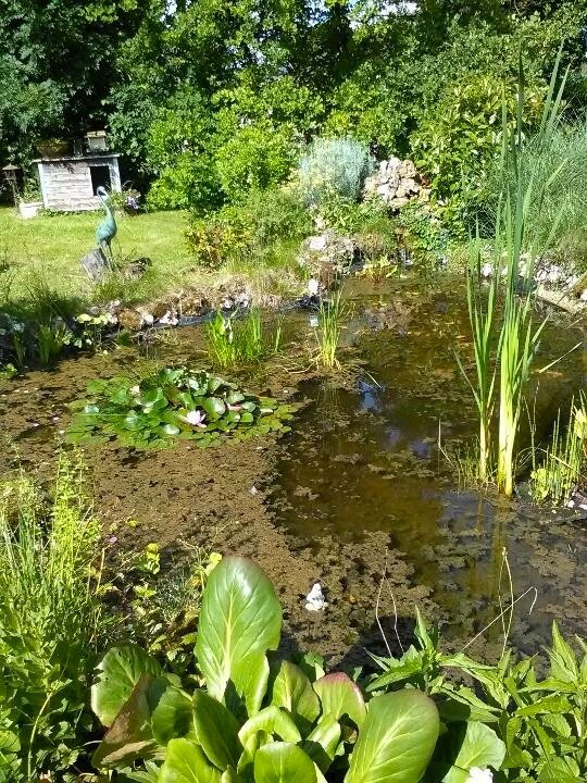 Un véritable coup de cœur à visiter sans tarder !NONANCOURT