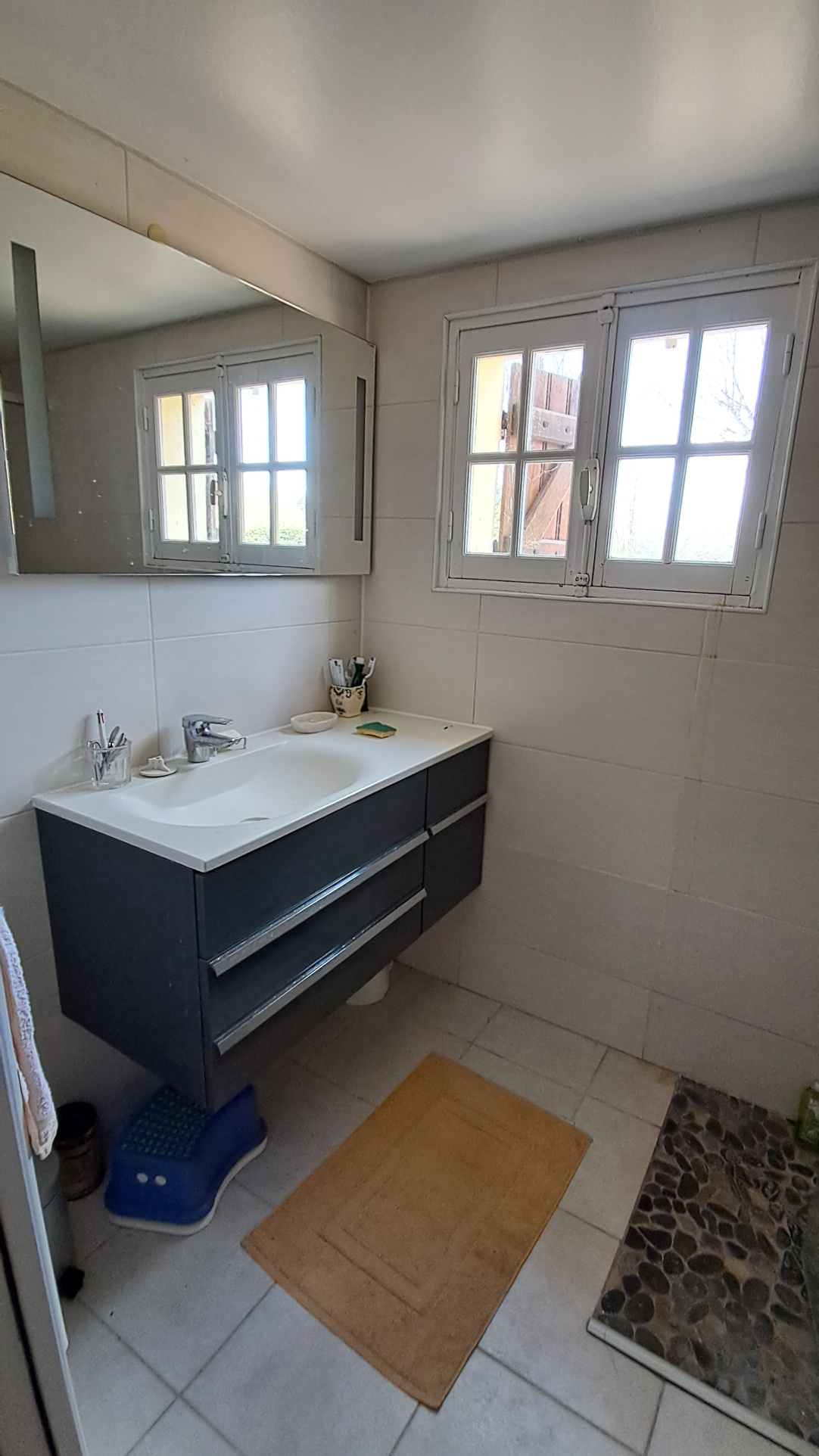 Propriété avec dépendances et grand terrainLA Ferté VIDAME