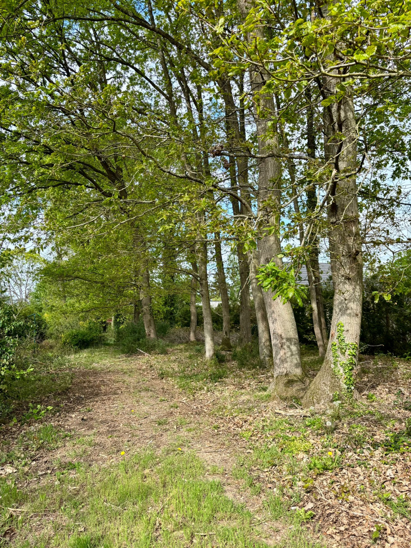 Maison Phénix familiale sur grand terrain arboré avec sous-sol totalProche NONANCOURT, Secteur NONANCOURT