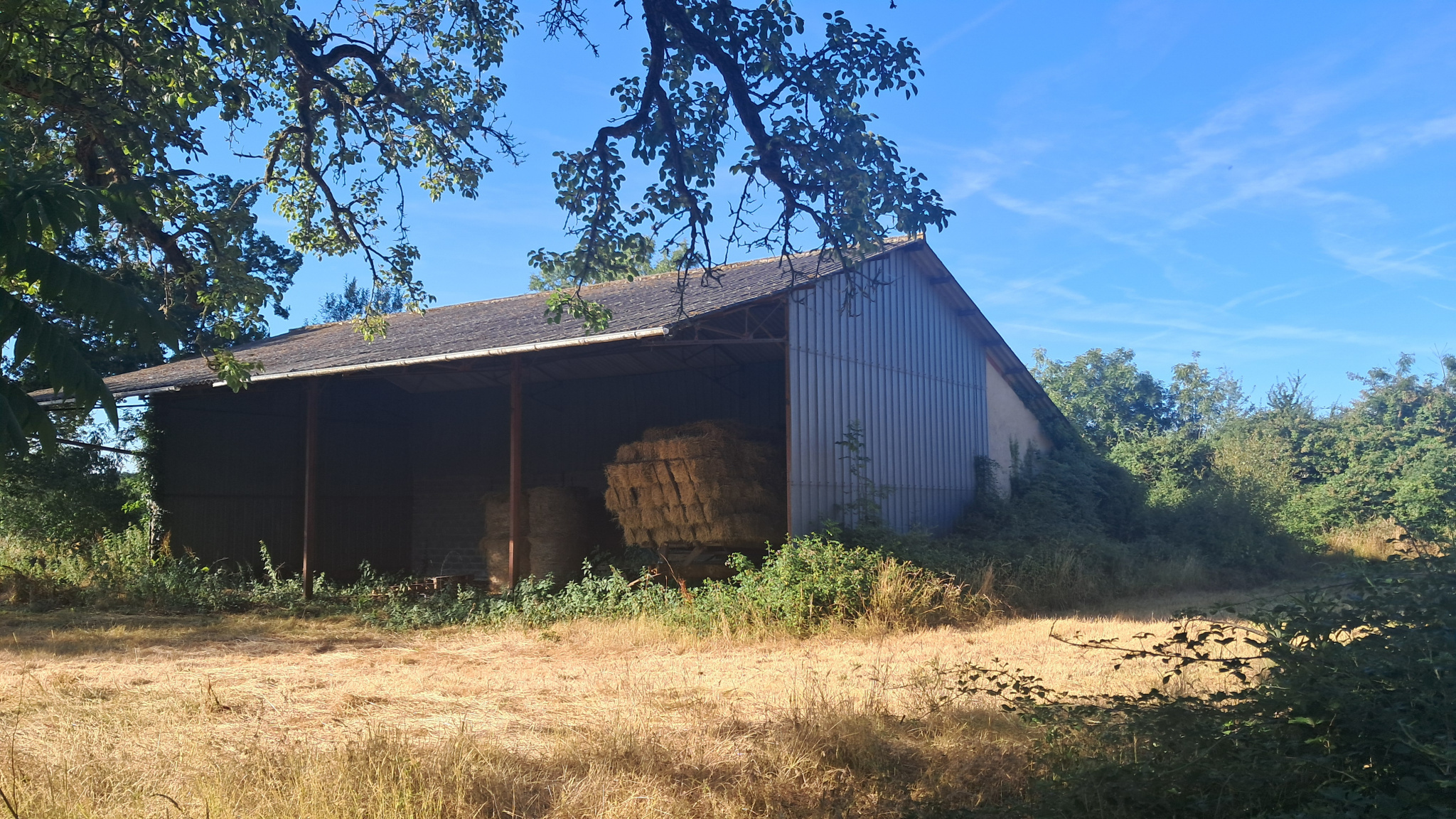 Ancien corps de ferme avec grand terrainSENONCHES