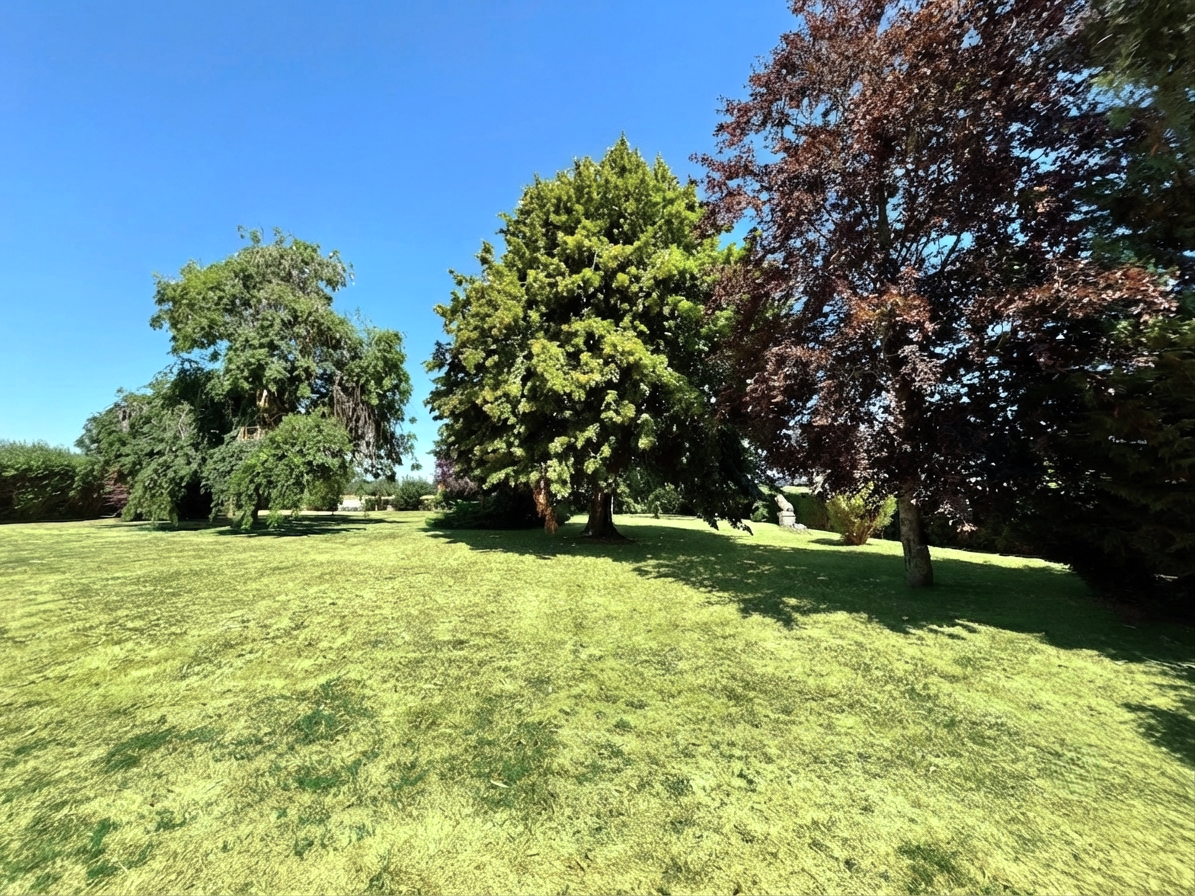Une visite pour un coup de cœur !DAMPIERRE-SUR-AVRE