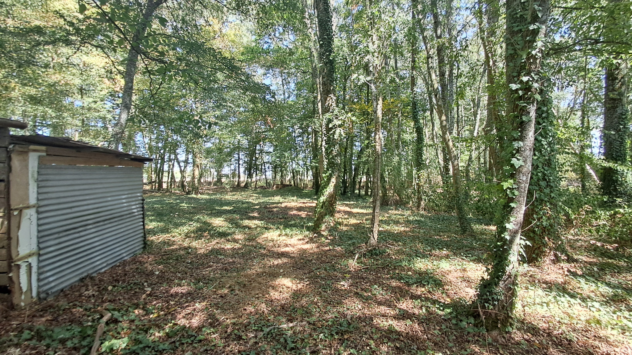 MAISON EN CAMPAGNE
